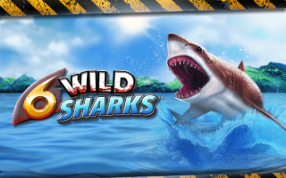  6 Wild Sharks 